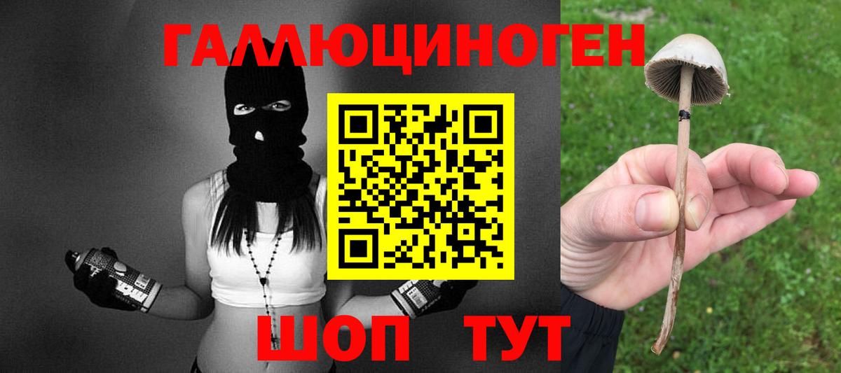 Стрежевой  Псилоцибиновые грибы Psilocybe  Вход с VPN 