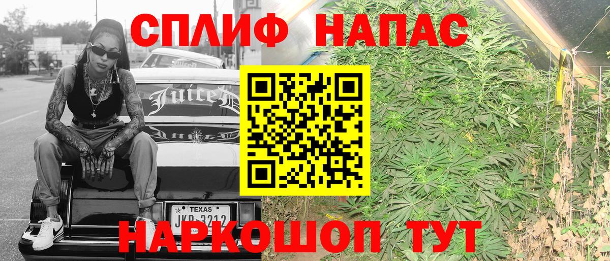 Конопля ГИДРОПОН  Каннабис семена  Конопля OG Kush  Вход с VPN  Стрежевой 